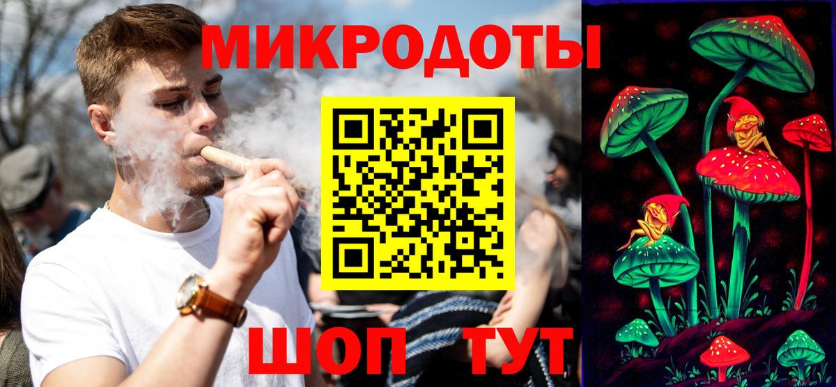 Псилоцибиновые грибы Psilocybe Лабытнанги